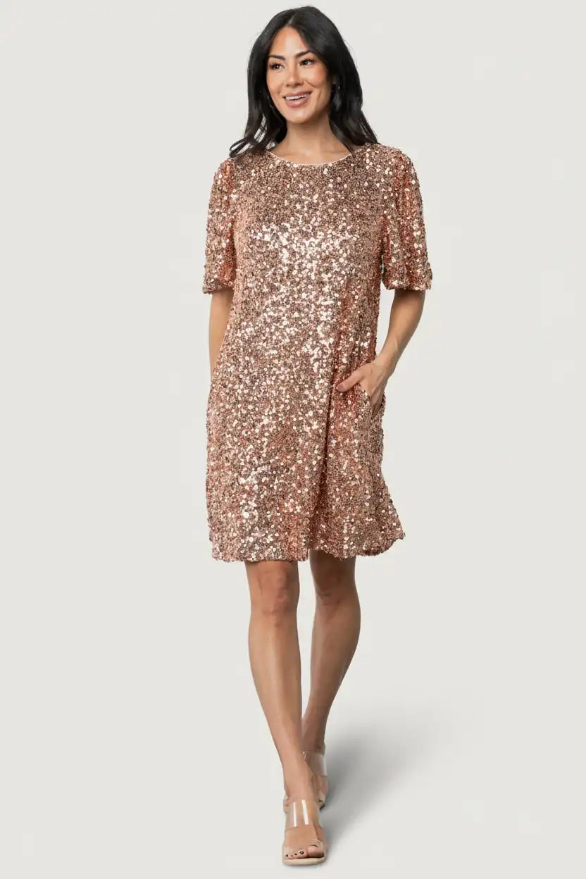 Asta Sequin Shift Dress