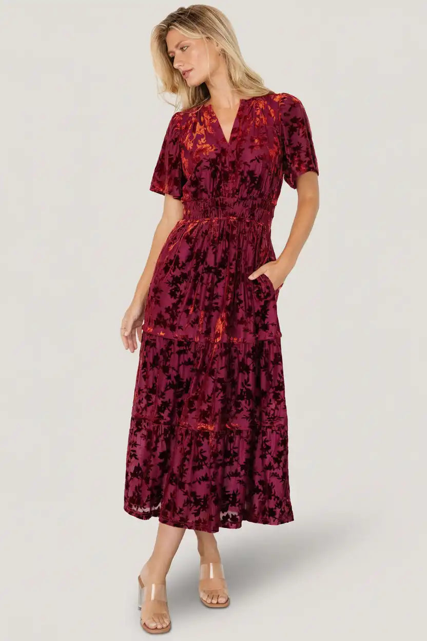 Bronwyn Velvet Dress
