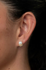 Livvy Pearl Stud Earrings